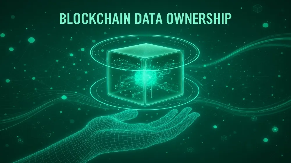 Blockchain Data Ownership
